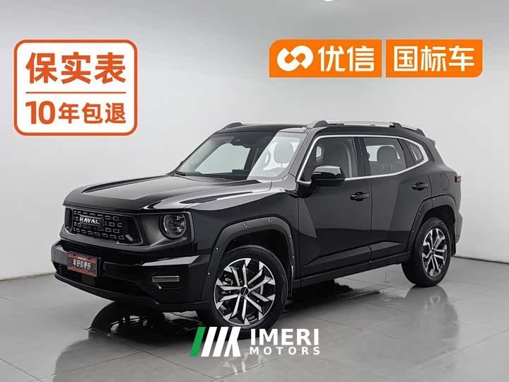 Haval Big Dog PLUS 2023 1.5T Two-Wheel Drive Trendy Wilderness Edition Plus - car from China