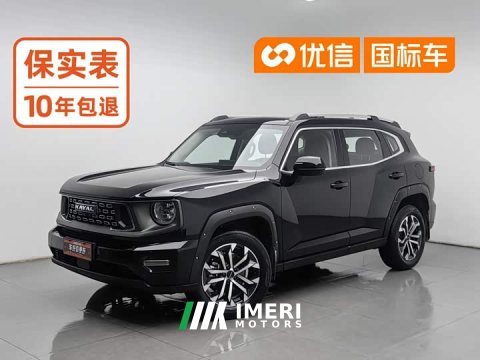 2024 Haval Big Dog PLUS 2023 1.5T Two-Wheel Drive Trendy Wilderness Edition Plus - ავტომობილი ჩინეთიდან