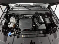 Haval Big Dog PLUS 2023 1.5T Two-Wheel Drive Trendy Wilderness Edition Plus - photo 6