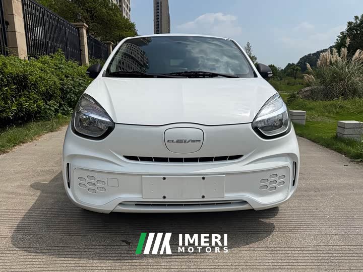 SAIC Corey Wei CLEVER 302km All-Purpose Edition - ავტომობილი ჩინეთიდან
