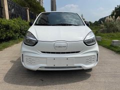 SAIC Corey Wei CLEVER 302km All-Purpose Edition - ფოტო 1