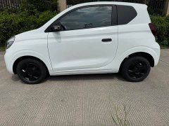 SAIC Corey Wei CLEVER 302km All-Purpose Edition - ფოტო 3