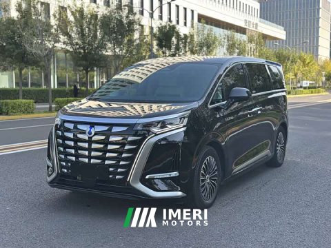 2024 Denza D9 DM-i 980 Four-Wheel Drive Premium - автомобиль из Китая