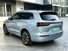 AITO Wenjie M7 1.5T AWD Luxury - ფოტო 18