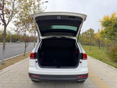 Volkswagen Touareg 280TSI FWD Luxury Edition - ფოტო 17