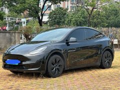 Tesla Model Y Rear-Wheel Drive - ფოტო 1