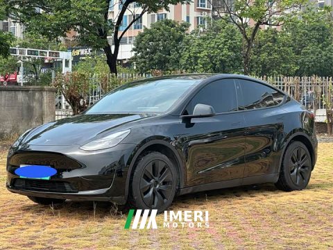 2024 Tesla Model Y Rear-Wheel Drive - ავტომობილი ჩინეთიდან
