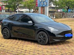 Tesla Model Y Rear-Wheel Drive - ფოტო 3