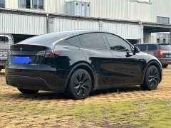 Tesla Model Y Rear-Wheel Drive - ფოტო 7