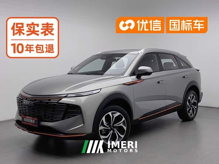 Haval Divine Beast 2023 1.5T Smart Enjoy Edition - ავტომობილი ჩინეთიდან
