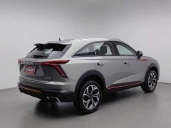 Haval Divine Beast 2023 1.5T Smart Enjoy Edition - ფოტო 2