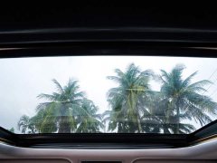 Lexus RX 2020 300 AWD Elegance National VI - ფოტო 17