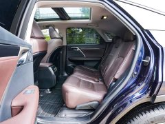 Lexus RX 2020 300 AWD Elegance National VI - ფოტო 18
