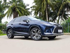Lexus RX 2020 300 AWD Elegance National VI - ფოტო 3