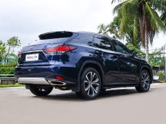 Lexus RX 2020 300 AWD Elegance National VI - ფოტო 6