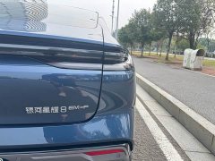 Geely Galaxy Xingyao 8 130km EM-i Premium Edition - ფოტო 7