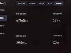 Li Auto L9 Max - ფოტო 11