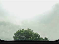 Li Auto L9 Max - ფოტო 18