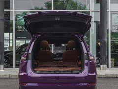 Li Auto L9 Max - ფოტო 19