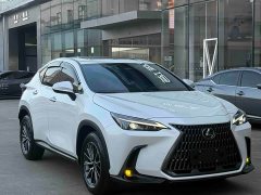 Lexus NX 2023 350h FWD Joyful Edition - photo 1