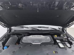 Tank 500 3.0T Sport Landscape Edition 5-Seater - photo 6