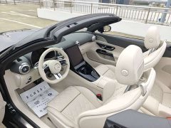 Mercedes-Benz Mercedes-AMG SL-Class AMG SL 43 European Edition - ფოტო 10