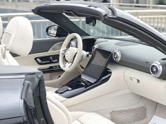 Mercedes-Benz Mercedes-AMG SL-Class AMG SL 43 European Edition - ფოტო 19