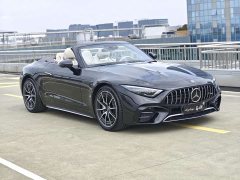 Mercedes-Benz Mercedes-AMG SL-Class AMG SL 43 European Edition - ფოტო 3