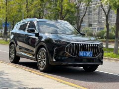 Jetour Jietu X70 PLUS 1.5T DCT Brave PLUS 7-Seater - ფოტო 3