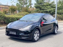 Tesla Model Y Long Range All-Wheel Drive - ფოტო 1