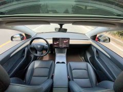 Tesla Model Y Long Range All-Wheel Drive - ფოტო 18