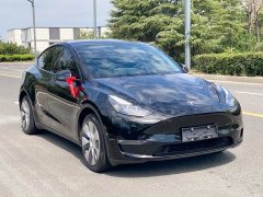 Tesla Model Y Long Range All-Wheel Drive - ფოტო 3