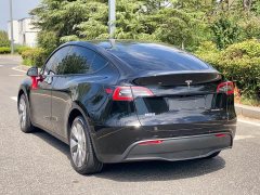 Tesla Model Y Long Range All-Wheel Drive - ფოტო 7