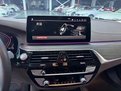BMW 5 Series 530Li Leading Edition Luxury Package - ფოტო 9