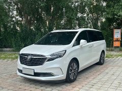 Buick GL8 2022 ES Land Respect 653T Luxury - photo 1