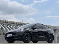 Tesla Model Y 2023 Rear-Wheel Drive - ფოტო 1