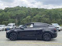 Tesla Model Y 2023 Rear-Wheel Drive - ფოტო 13