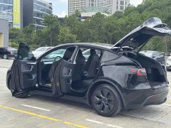 Tesla Model Y 2023 Rear-Wheel Drive - ფოტო 14
