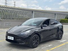 Tesla Model Y 2023 Rear-Wheel Drive - ფოტო 2