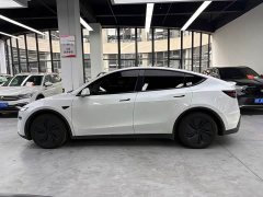 Tesla Model Y Rear-Wheel Drive - ფოტო 15