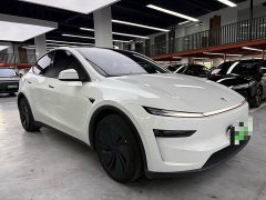 Tesla Model Y Rear-Wheel Drive - ფოტო 3