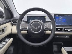 Wuling Binguo PLUS 2024 510km 5-Seater - ფოტო 11