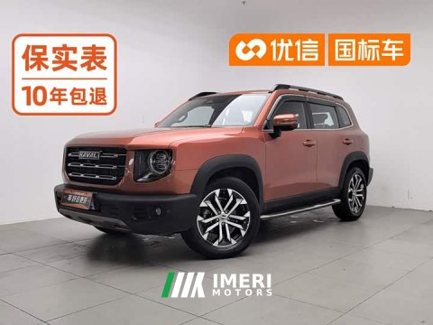 2021 Great Wall Dachshund 1.5T DCT Two-Wheel Drive Border Collie Edition - car from China