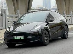 Tesla Model Y Rear-Wheel Drive - ფოტო 1