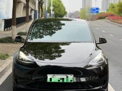 Tesla Model Y Rear-Wheel Drive - ფოტო 2