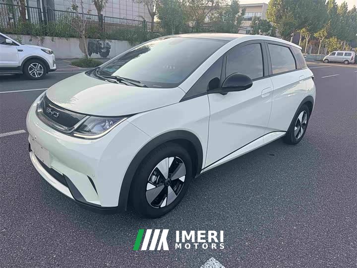 BYD Dolphin 420km Fashion Edition - ავტომობილი ჩინეთიდან