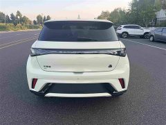 BYD Dolphin 420km Fashion Edition - ფოტო 18