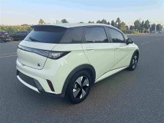 BYD Dolphin 420km Fashion Edition - ფოტო 3