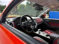 BYD Cannon 2.0T Off-road Auto Diesel 4WD Everest Edition - photo 15
