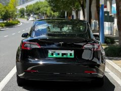 Tesla Model 3 Facelift Standard Range RWD Upgrade 3D1 - ფოტო 3